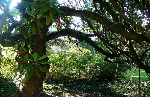 Solimago Dimora Storica - Foto 102