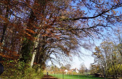 Gemütliches Haus mit Sauna im Voralpenland - Foto 26