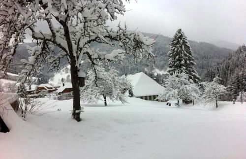 Historisches Schwarzwaldhaus - Foto 14