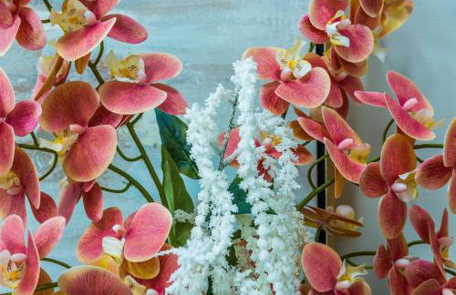 Lago-mar Luxury Modern Waterfront Home - Foto 2