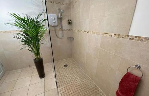 Cygnet Studio - Foto 7