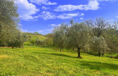 Casale la Civetta con piscina privata - Foto 26