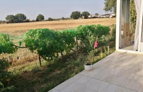 Gîte Bouconne Pibrac - Foto 27