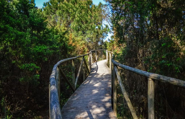 Cozy Flat in a Bright Residence-beahost - Photo 23