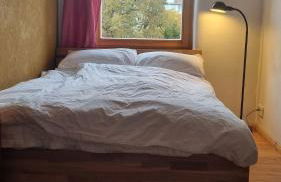 Wohnung in der Waldstadt - Foto 1