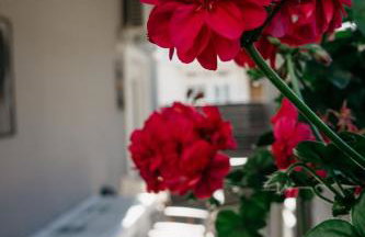 Boutique maison Filiatra - Photo 5