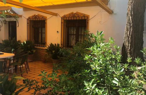 Paredejas del Rey - Foto 11