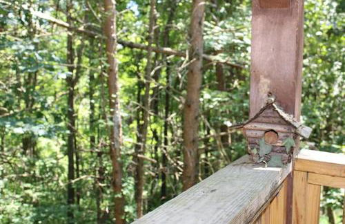 Wren's Nest - Foto 20