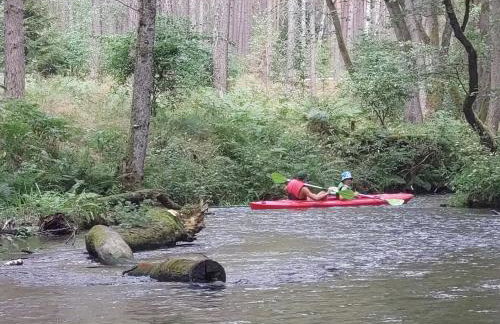 Biały Żagiel - Dom do wynajęcia Pluski - Foto 57