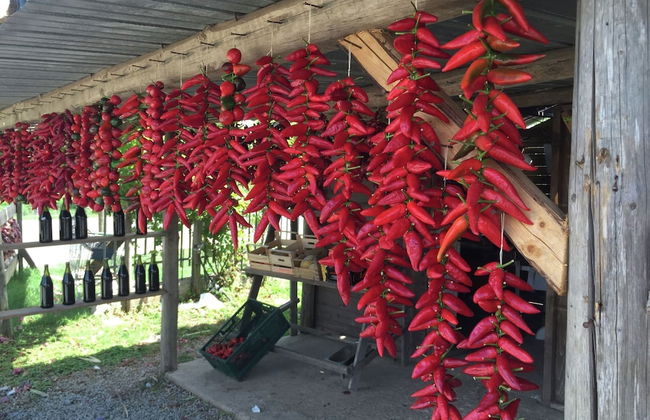 Family Sea-view Retreat in Parghelia - Foto 25