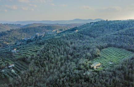 Podere Mencoini, stylish villa with private pool and olive garden - Photo 21