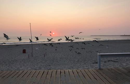 Sardine House - Foto 17