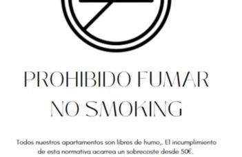 Bretón de los Herreros 54 - Foto 35