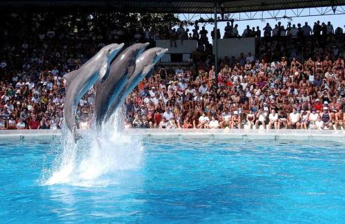 Villa Belavista - Moradia para Famílias - Foto 38