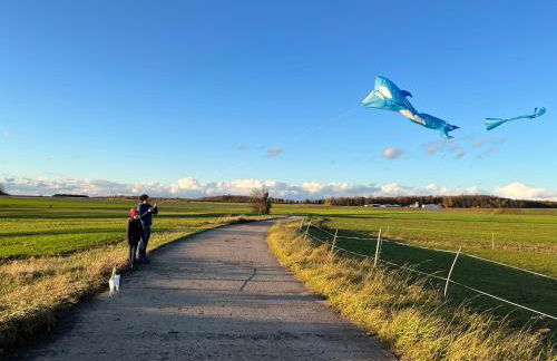 Kunstpause am Altmühlsee - Foto 17