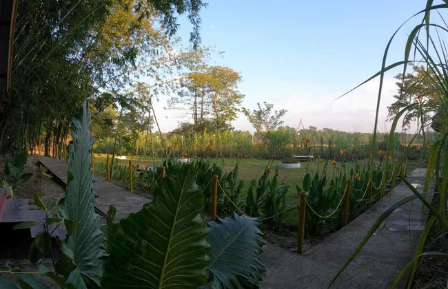 Pobitora Village Eco Camp - Foto 23