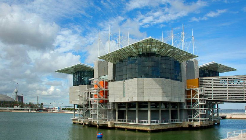 Yellow Bus Belém et de Lisbonne Moderne en bus Hop-on Hop-off + Billets optionnels pour l'océanarium - Photo 3