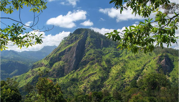 Ella Private Tour - Foto 3