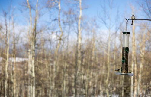 Charming Vacation Rental in the Heart of South Park near Fairplay, Colorado - Foto 41