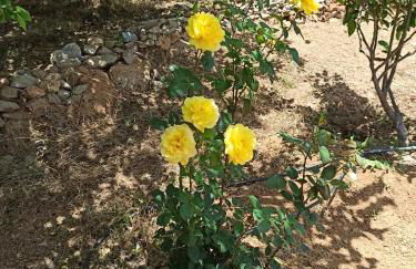 Casa de los abuelos - Foto 42