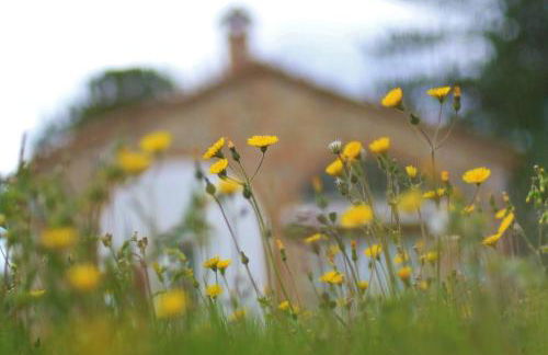 Opera d'Oro - Foto 24