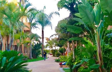 MARBELLA - ALICATE BEACHFRONT Apartment - 5 - Photo 23