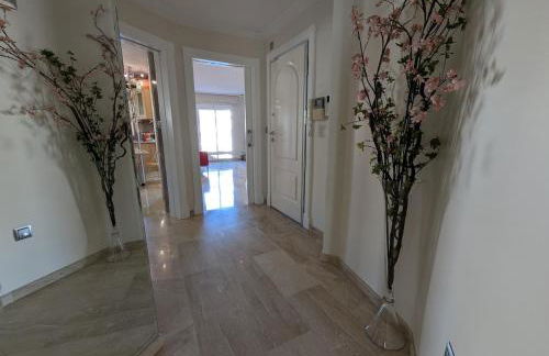 Atico Oasis Elche - Foto 5