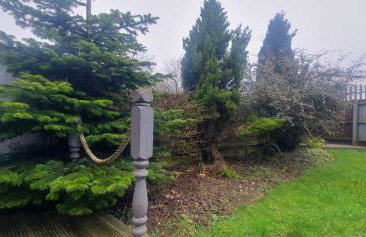 Discovery Meadow House - Photo 3