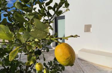 VITA VIVET TRULLO - Foto 44