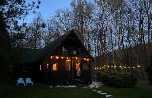 Domek Pod Lasem - Foto 2
