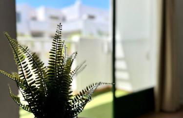 Kame House - Photo 13