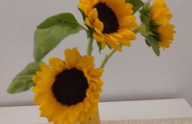 Casa Martini - Foto 6