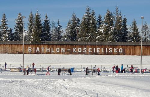 Apartament TatraVika - Photo 73