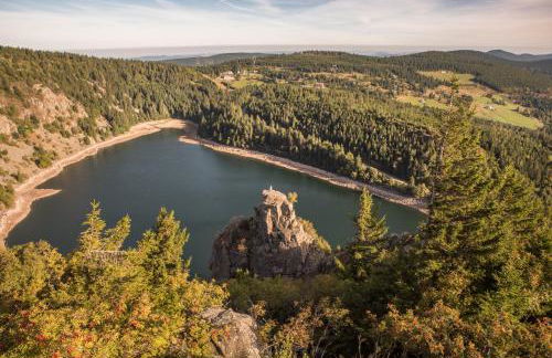 Terre de Sapins - Foto 20