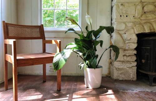 Mountain Farmhouse (The Lorca, Catskills) - Foto 16