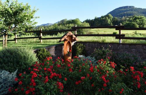 Agritur Maso Chemela - Foto 89