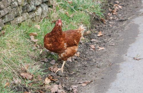 Oakenbank Barn - Foto 26