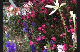 Aigeira Seafront Vacation Home 0 floor - Foto 21