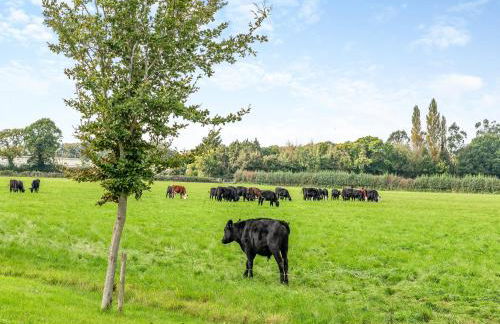 The Old Dairy - Photo 18