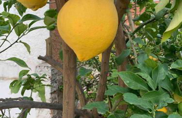 Villa Dimarts- a 100m de playa - Foto 45