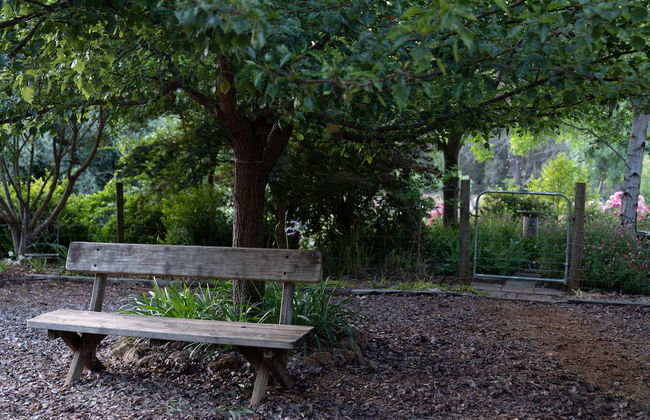 Noble River Estate - Photo 49