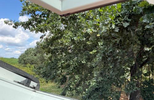 Apartamenty i Winnica - Siedlisko Na Polanie - Foto 13