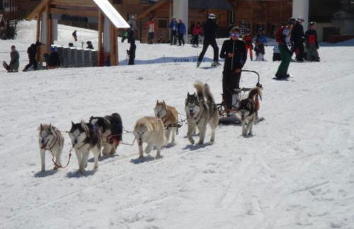 Chalet Clementine - Foto 32