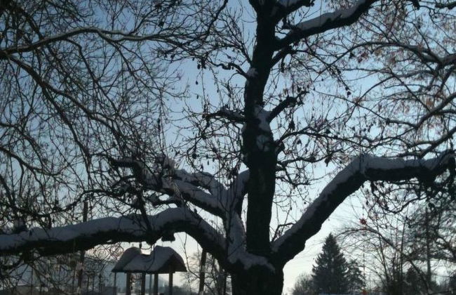 Ferienhaus Oase am Mühlebach - Foto 27