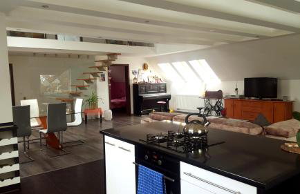 Apartamenty Holiday Slaw jacuzzi bilard - Foto 56