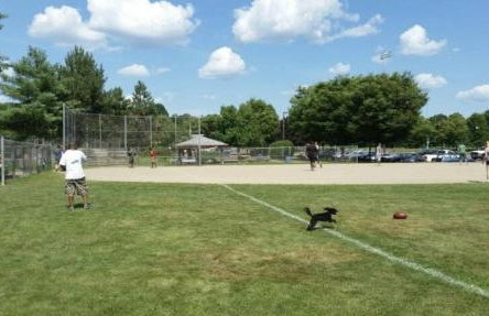 Country House - Foto 24