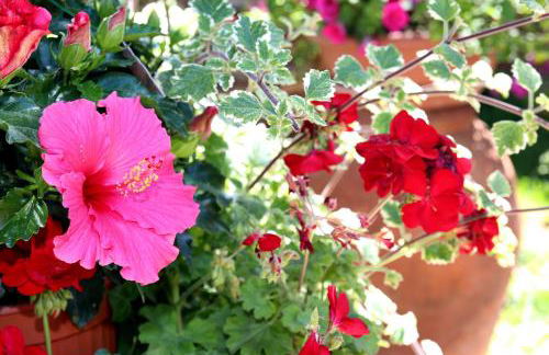 ***Villa Prestige**** - Foto 36