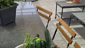 E s s e n t i a l Pompei - Foto 3