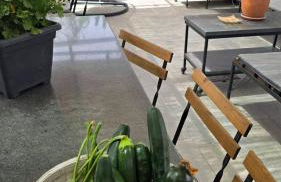 E s s e n t i a l Pompei - Foto 3