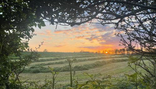 Hillview Haven - Photo 3